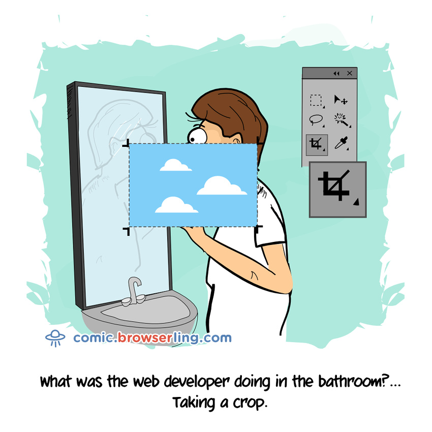 Bathroom - Web developer comic