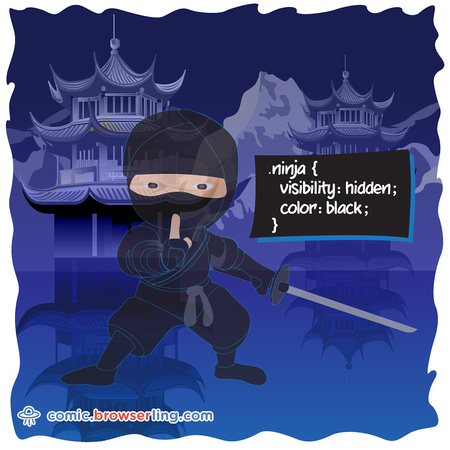 Ninja - Web developer comic