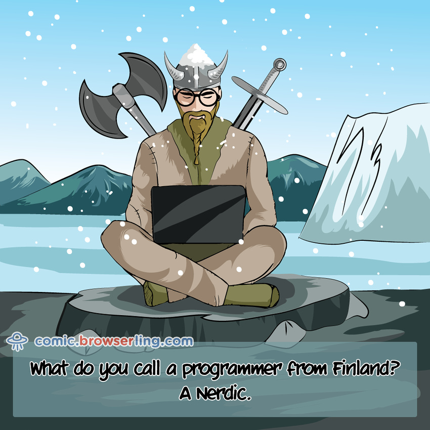 Viking - Web developer comic