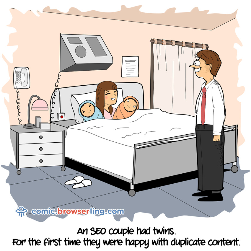 SEO Couple -  Web developer comic